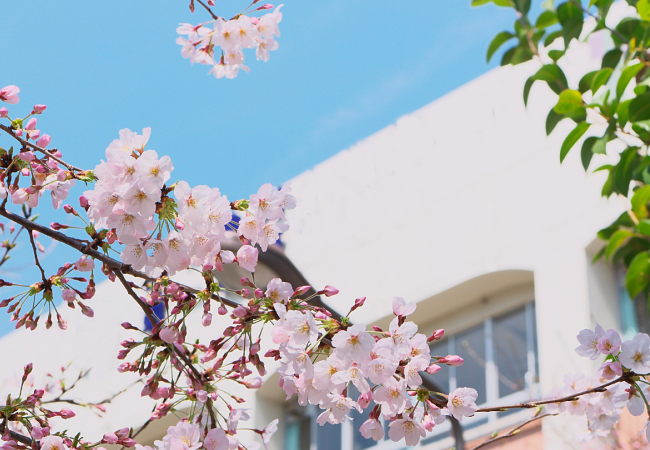 取り扱い校一覧